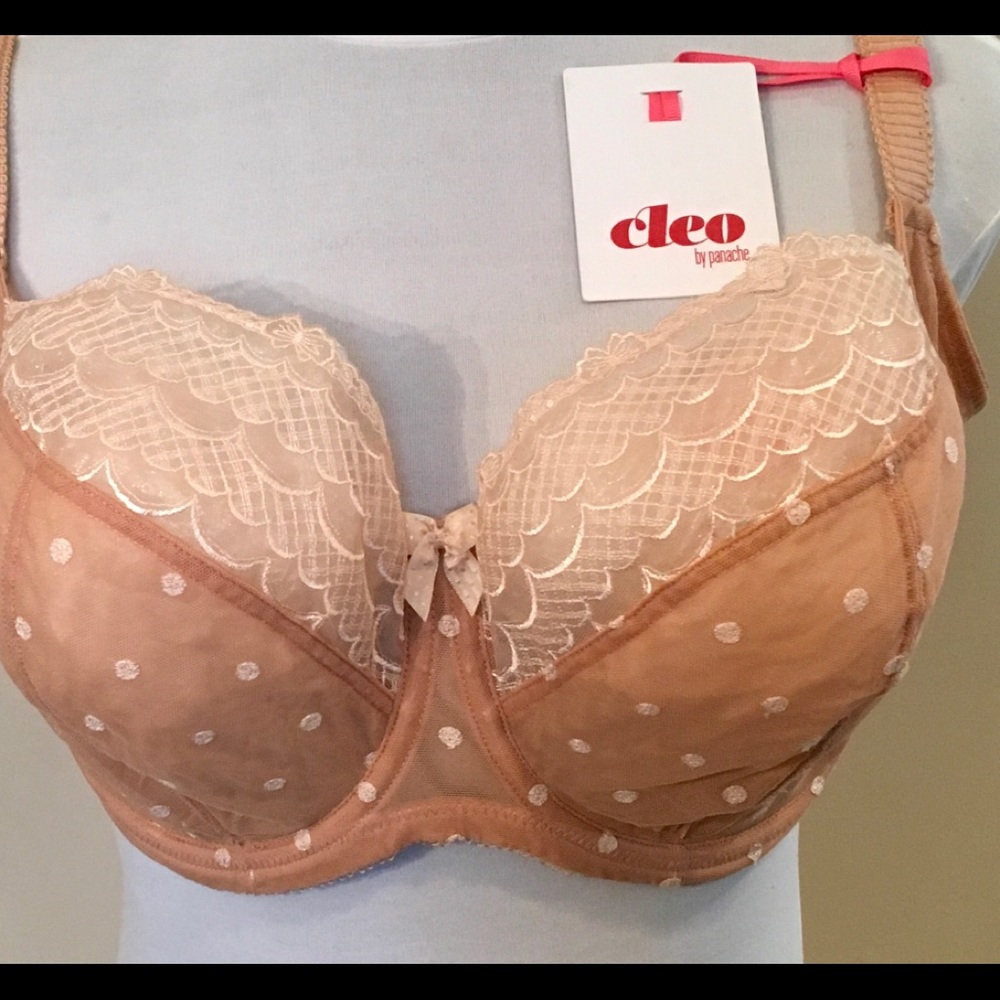 Cleo Bra - Picture 6 of 6